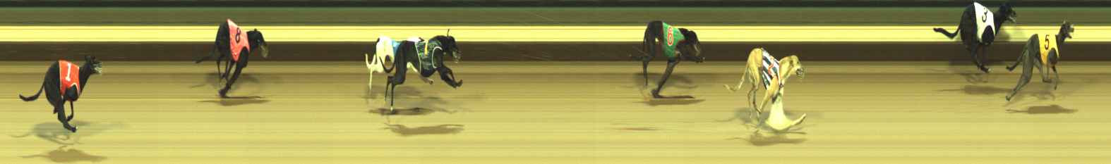 Photo finish for Warragul Race 1