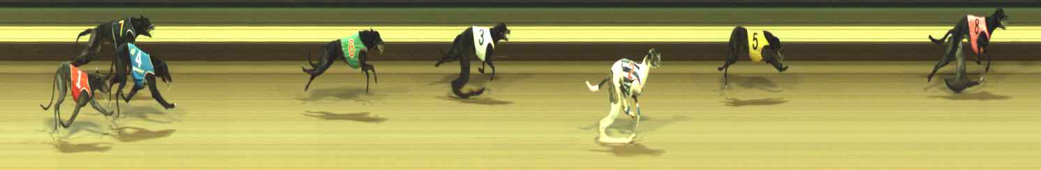 Photo finish for Warragul Race 2