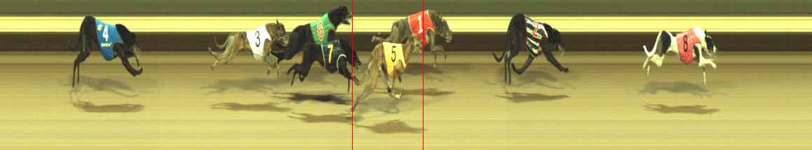 Photo finish for Warragul Race 3