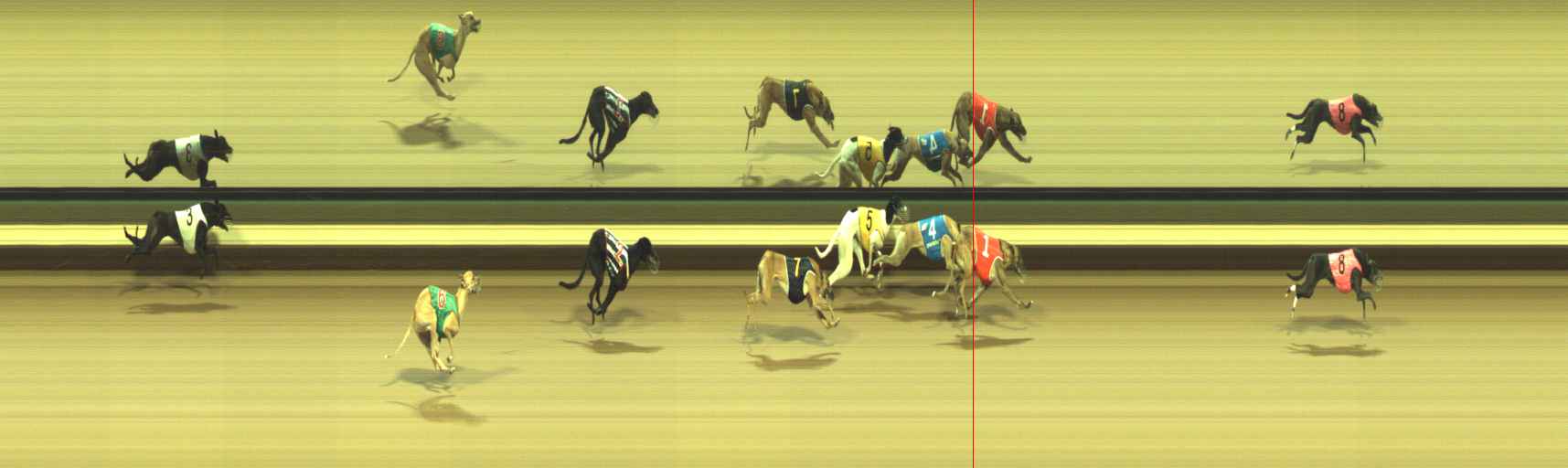 Photo finish for Warragul Race 4