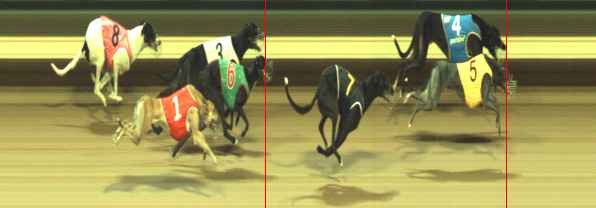 Photo finish for Warragul Race 5