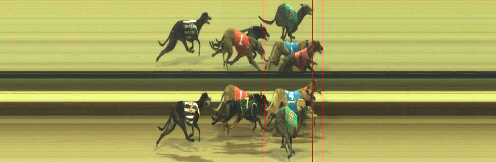 Photo finish for Warragul Race 6
