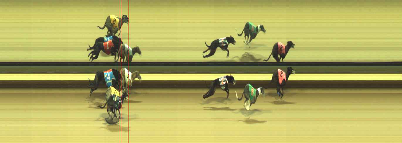 Photo finish for Warragul Race 8