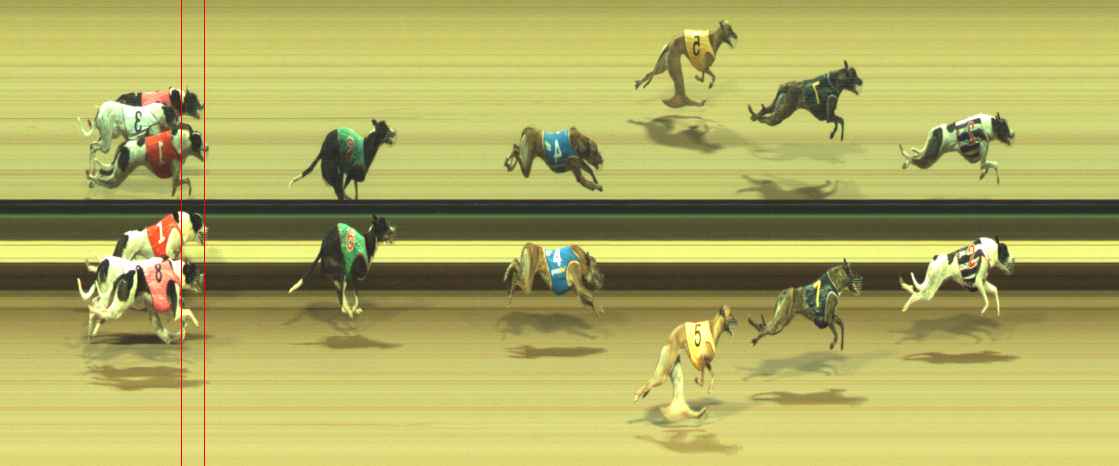Photo finish for Warragul Race 10