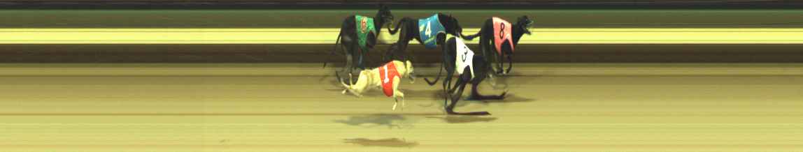 Photo finish for Warragul Race 11