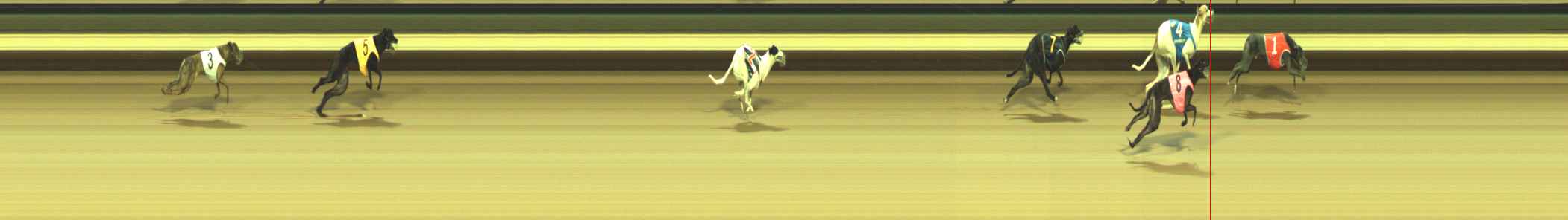 Photo finish for Warragul Race 12