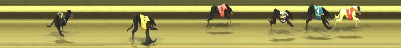 Photo finish for Warragul Race 1