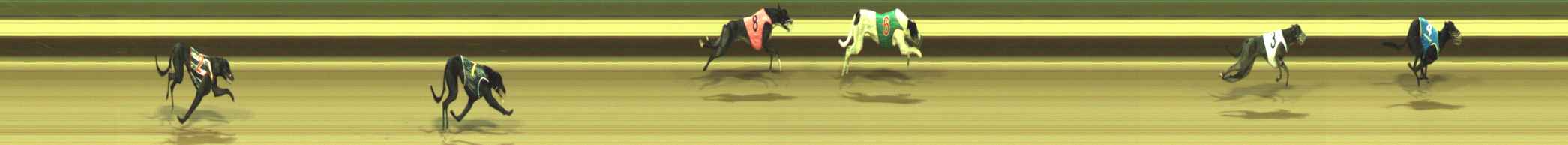 Photo finish for Warragul Race 2