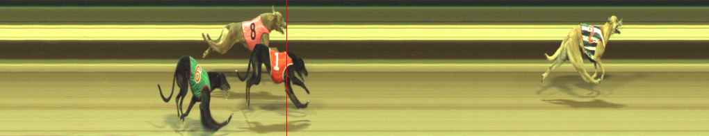 Photo finish for Warragul Race 3