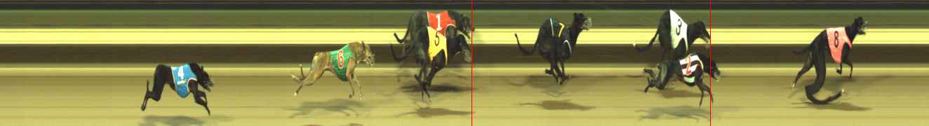 Photo finish for Warragul Race 4