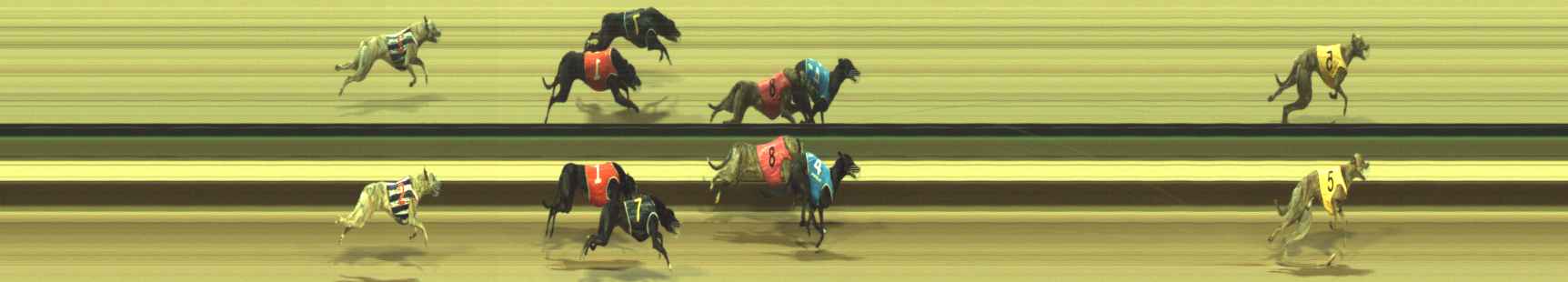 Photo finish for Warragul Race 5