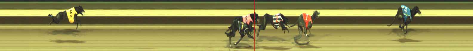 Photo finish for Warragul Race 6
