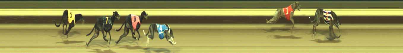 Photo finish for Warragul Race 7