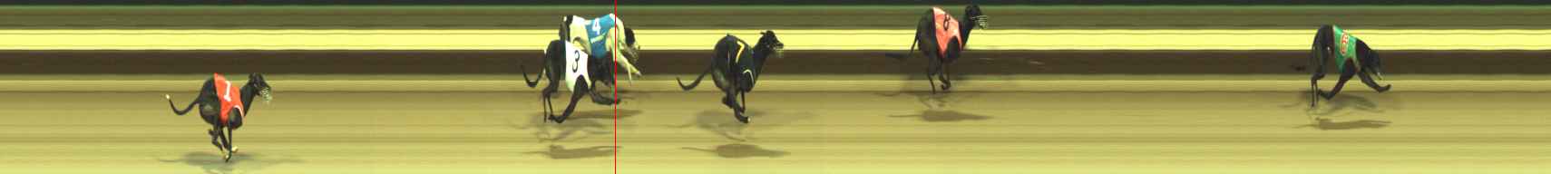 Photo finish for Warragul Race 8