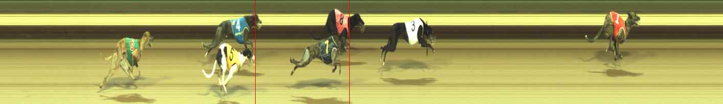 Photo finish for Warragul Race 10