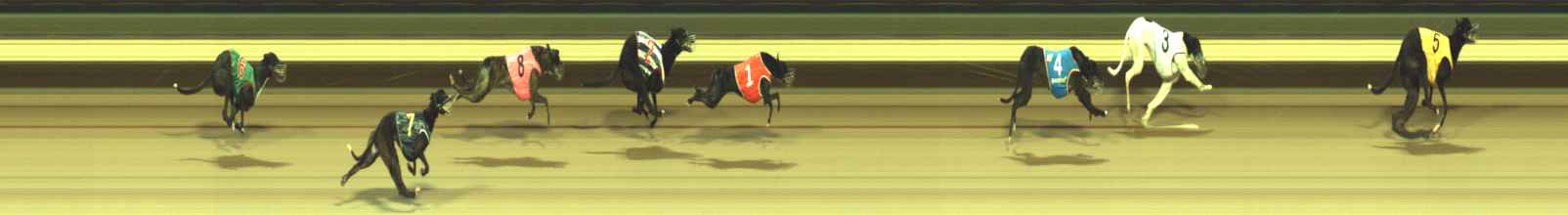 Photo finish for Warragul Race 11