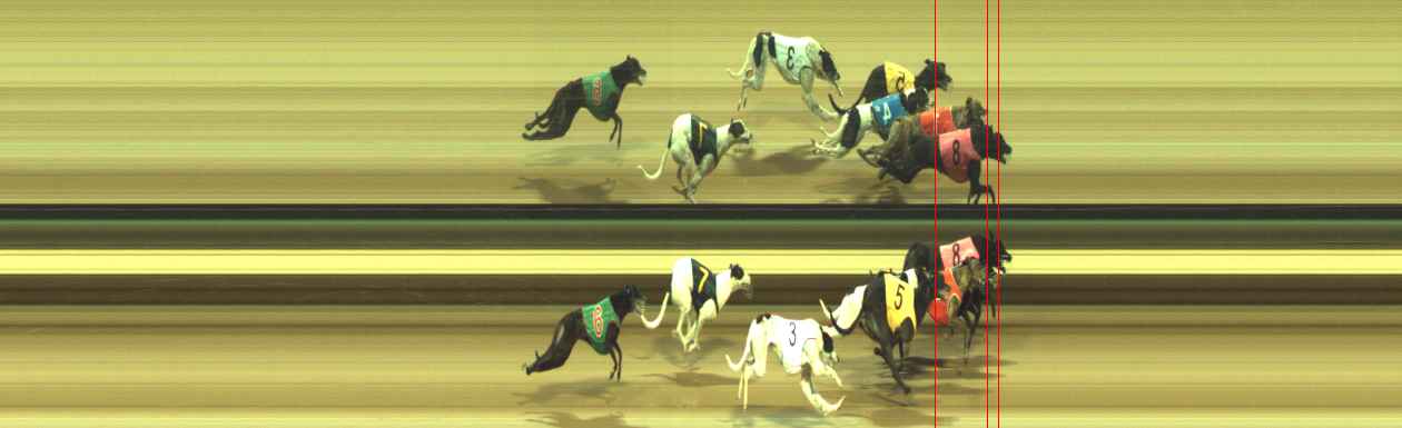 Photo finish for Warragul Race 12
