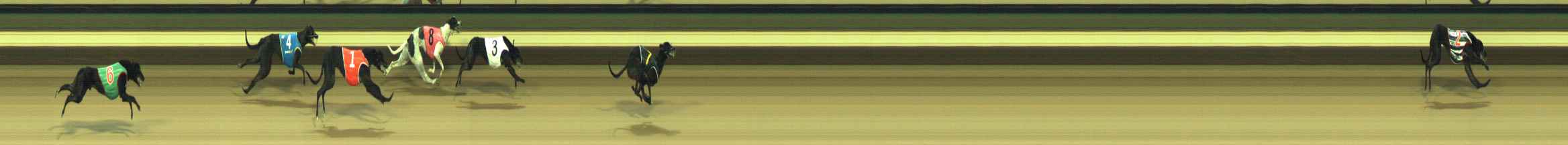 Photo finish for Warragul Race 1