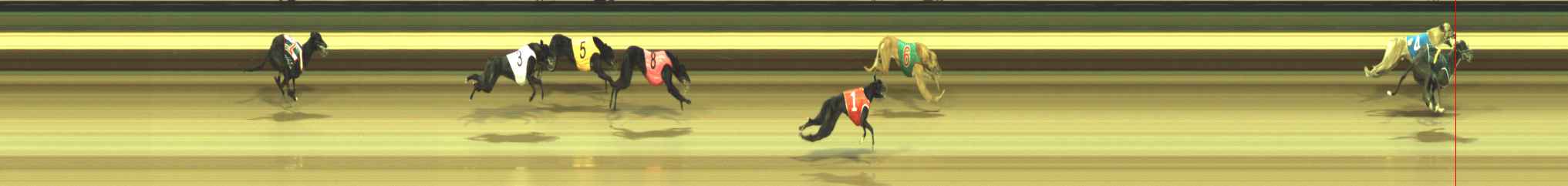Photo finish for Warragul Race 2