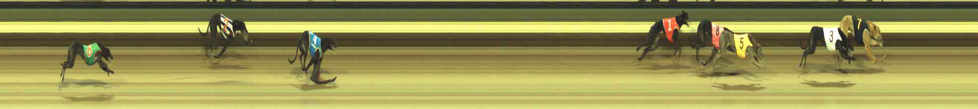 Photo finish for Warragul Race 3