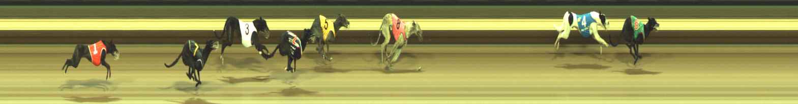 Photo finish for Warragul Race 4