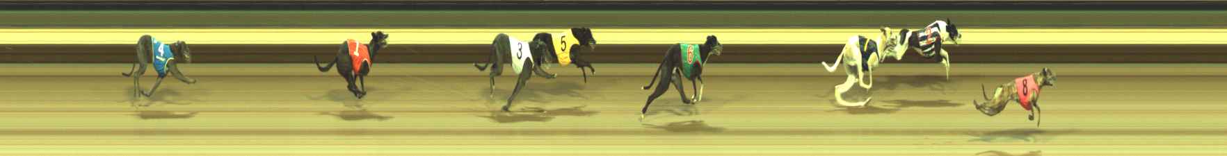 Photo finish for Warragul Race 5