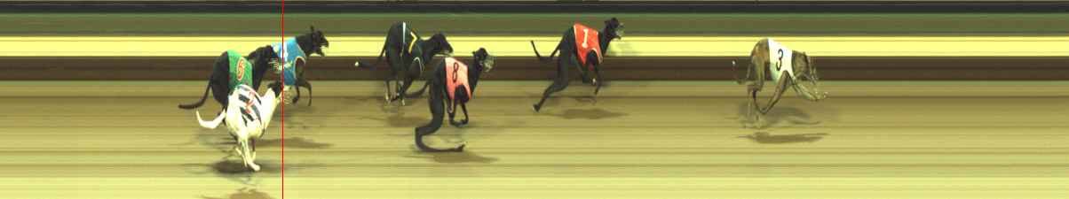 Photo finish for Warragul Race 6