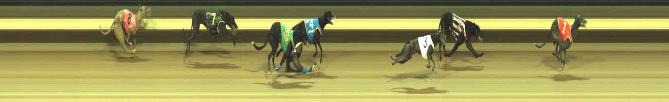 Photo finish for Warragul Race 8