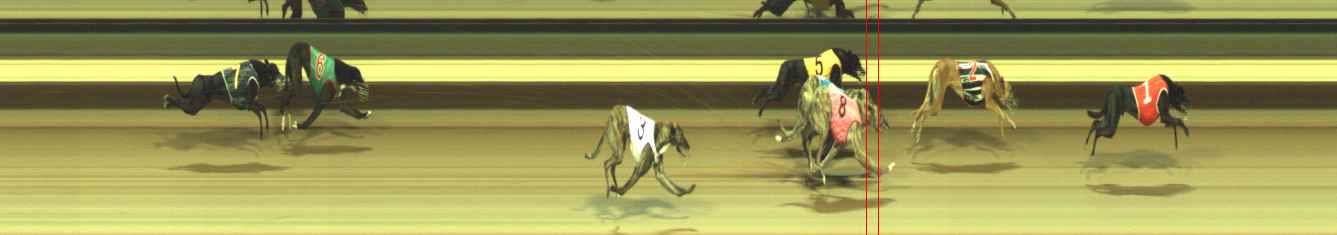 Photo finish for Warragul Race 11