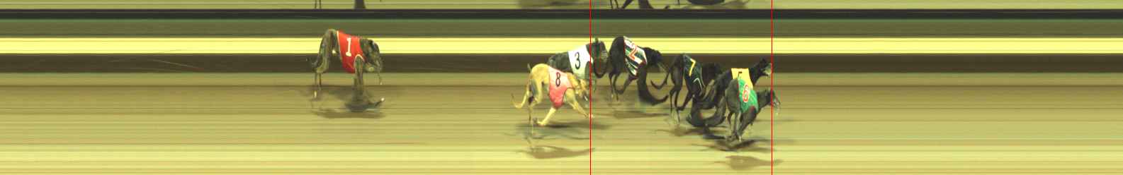 Photo finish for Warragul Race 12