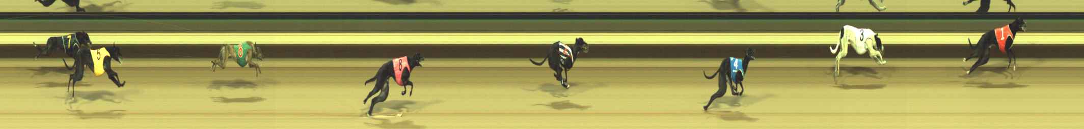 Photo finish for Warragul Race 1