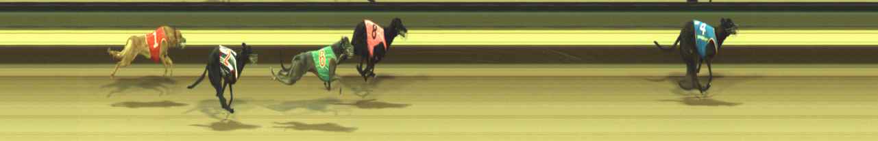 Photo finish for Warragul Race 2