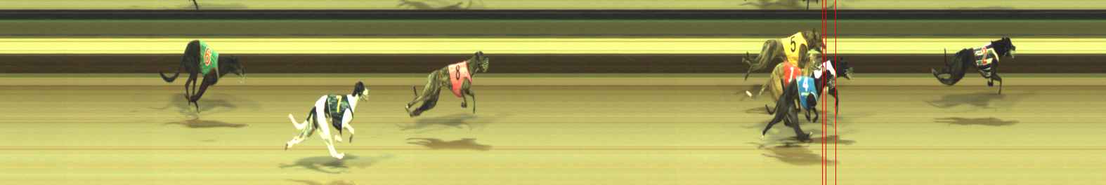 Photo finish for Warragul Race 4