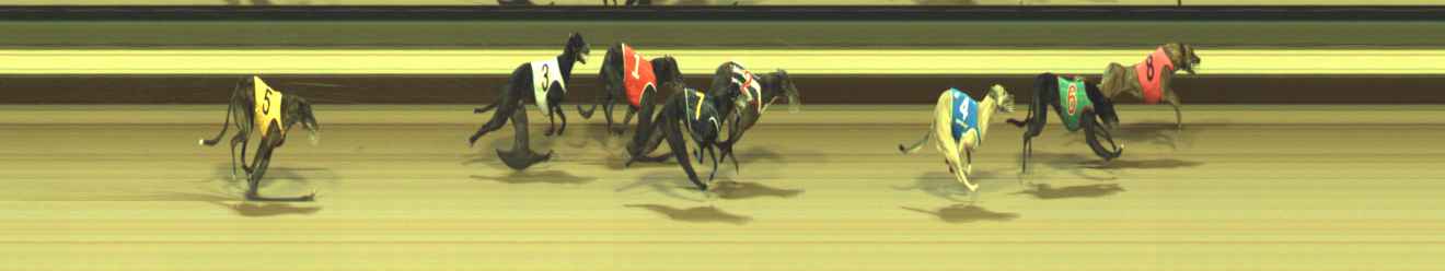 Photo finish for Warragul Race 5