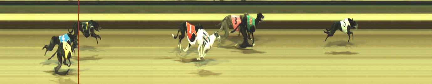 Photo finish for Warragul Race 7