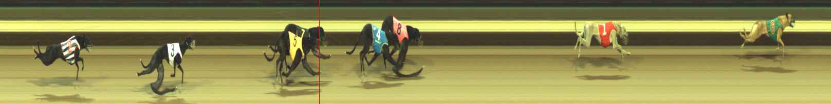 Photo finish for Warragul Race 10