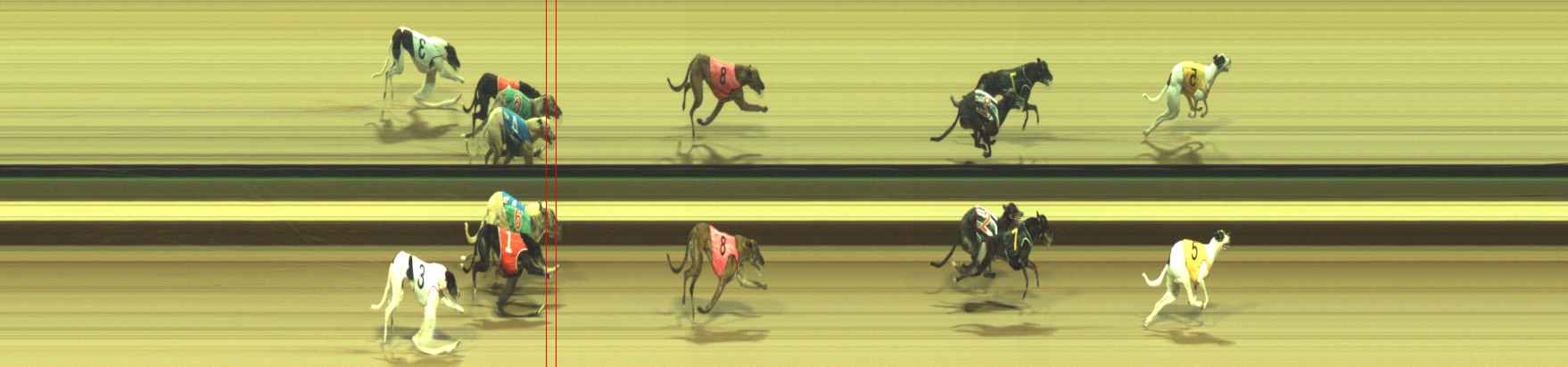 Photo finish for Warragul Race 11
