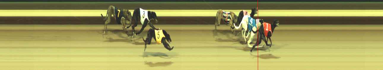 Photo finish for Warragul Race 12