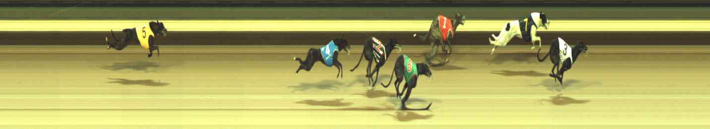Photo finish for Warragul Race 1
