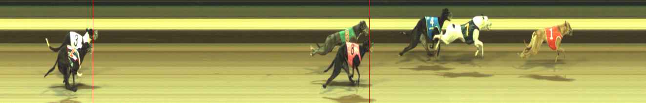 Photo finish for Warragul Race 2