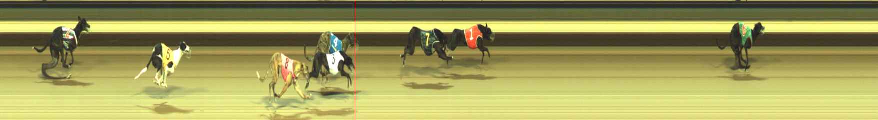 Photo finish for Warragul Race 3