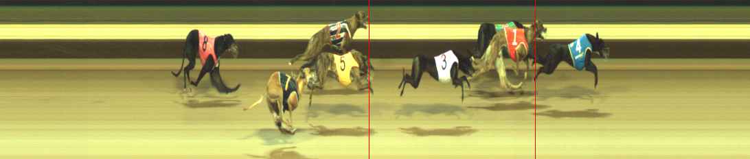 Photo finish for Warragul Race 4
