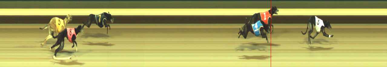 Photo finish for Warragul Race 5