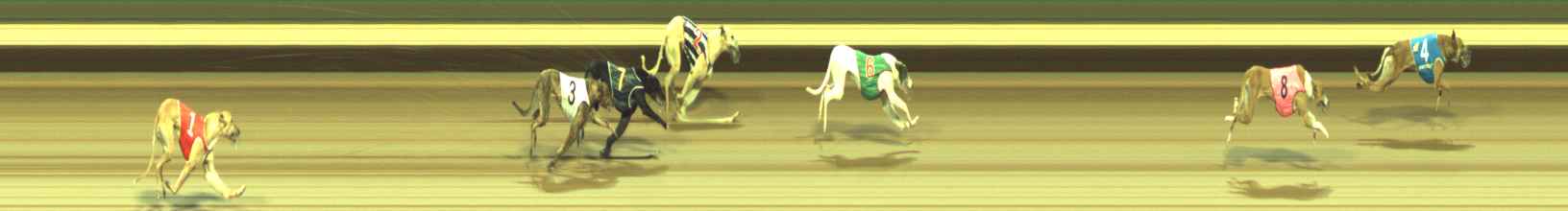 Photo finish for Warragul Race 6
