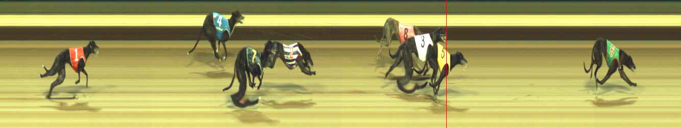 Photo finish for Warragul Race 7