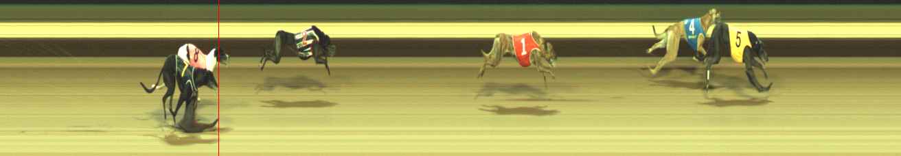 Photo finish for Warragul Race 8