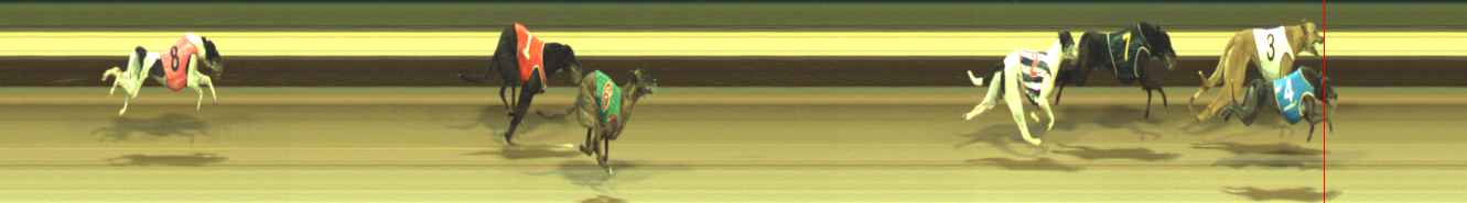 Photo finish for Warragul Race 9