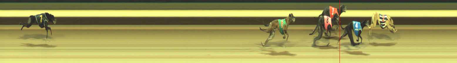 Photo finish for Warragul Race 10