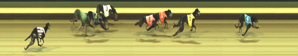 Photo finish for Warragul Race 11