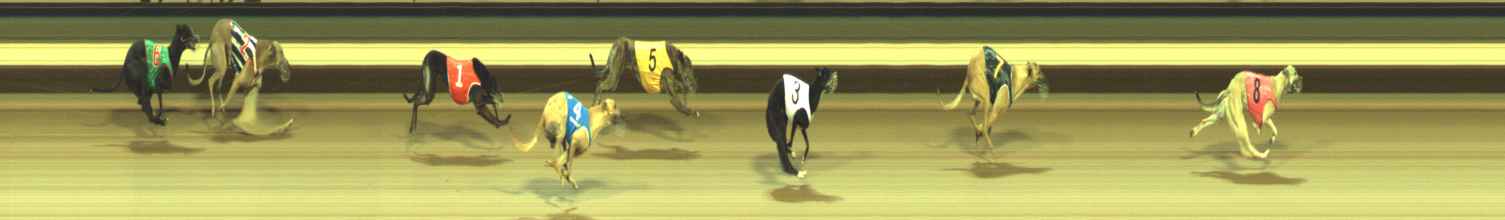 Photo finish for Warragul Race 12